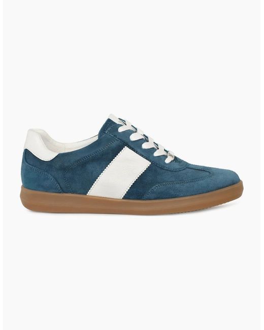 Caprice Blue Map Trainers