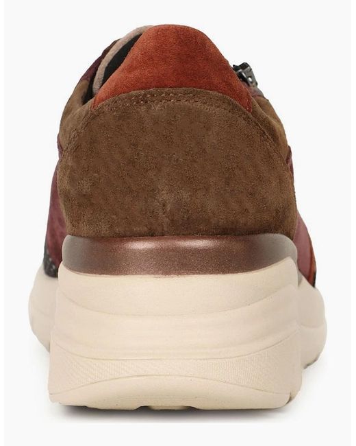 Waldläufer Brown Carla Trainers