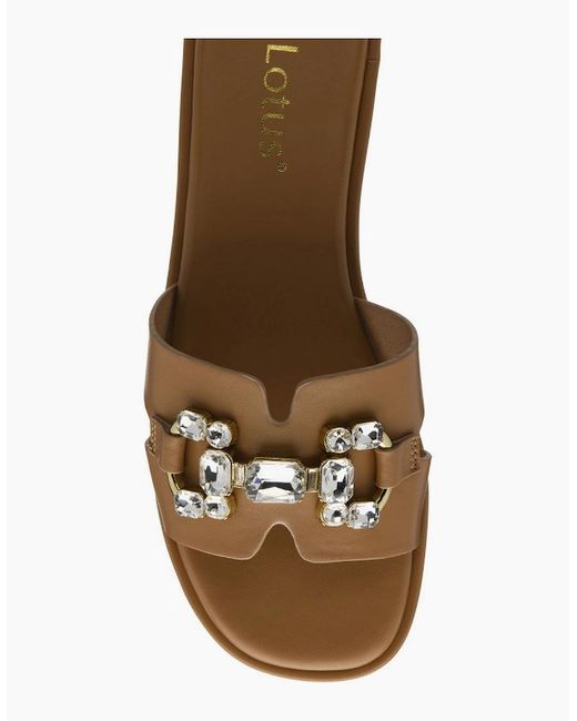 Lotus Brown Agueda Sandals
