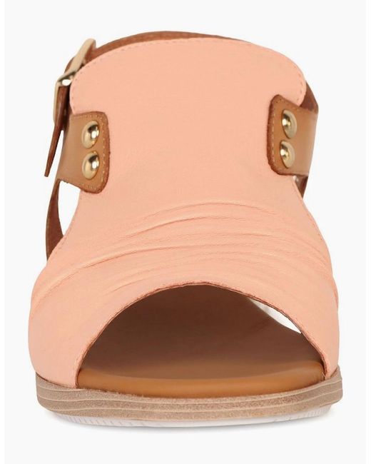 Paula Urban Brown Coastal Buckle Fastening Sandals