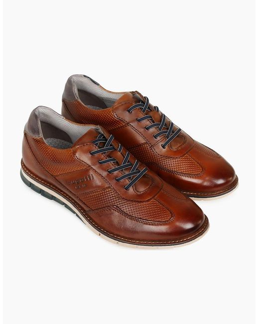 Bugatti Brown Steller Trainers for men