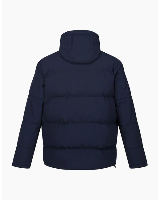 Regatta Blue Falkner Padded Jacket for men