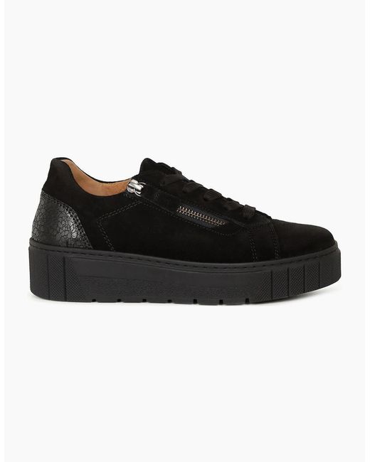 Gabor Black Ferry Trainers