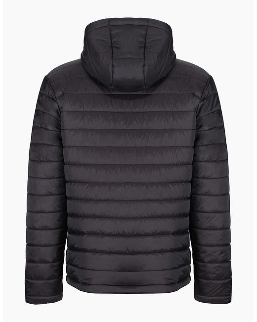 Regatta Black Thermogen P'Cell Warmloft Jacket for men