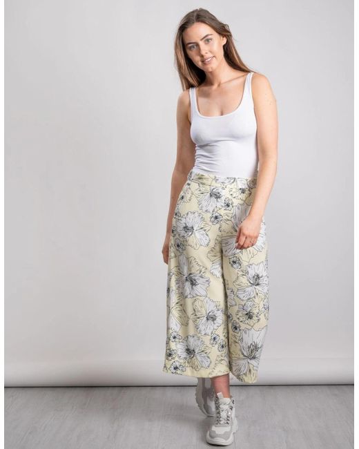 Great Plains Gray Great Plains Tropical Fauna Culotte