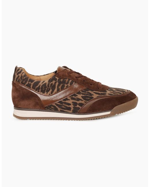Gabor Brown Secret Trainers