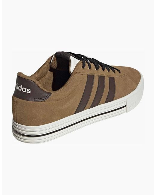 Adidas Brown Daily 4.0 Court Trainers for men