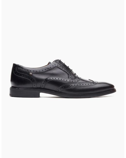 Base London Black Clarence Brogue Shoes for men