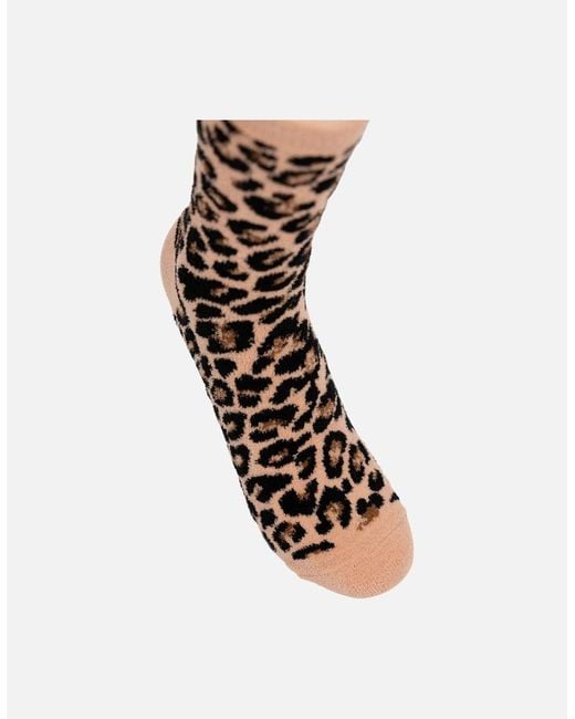 Trespass White Ladies Aryash Socks (Pack Of 2)