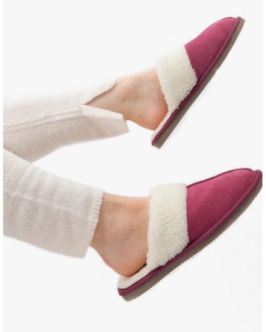 Hush Puppies Pink Arianna Suede Mule Slippers