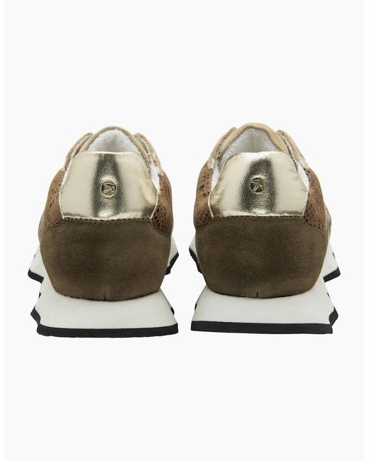 Ravel White Innes Trainers