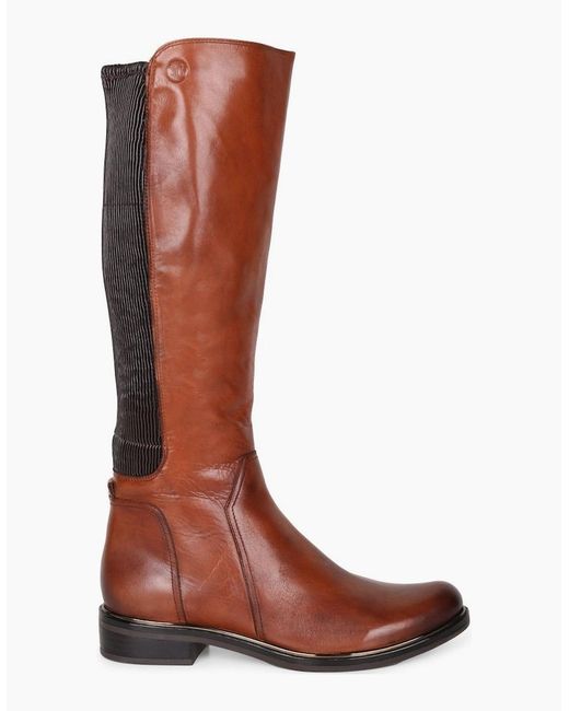 Caprice Brown Locket M Knee High Boots