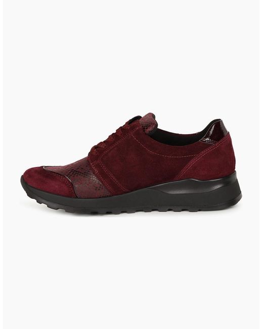 Waldläufer Red Hiroko Trainers