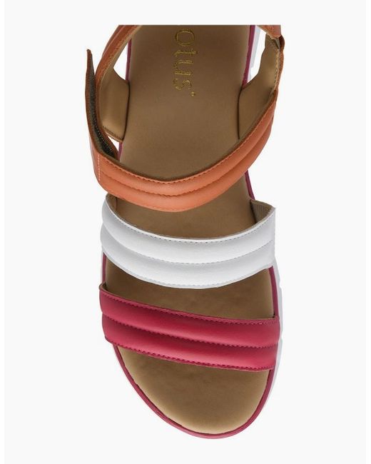 Lotus Pink Zamira Sandals