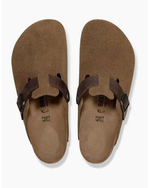 Birkenstock Boston Brown Clogs Dark Tea for men