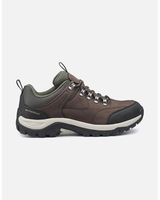 Hotter Brown Mission Wp Shoes for men