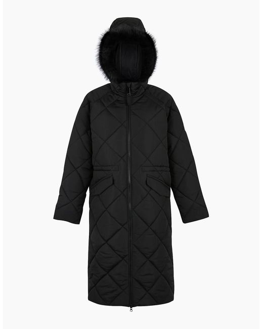Regatta Black Ladies Freyla Padded Jacket