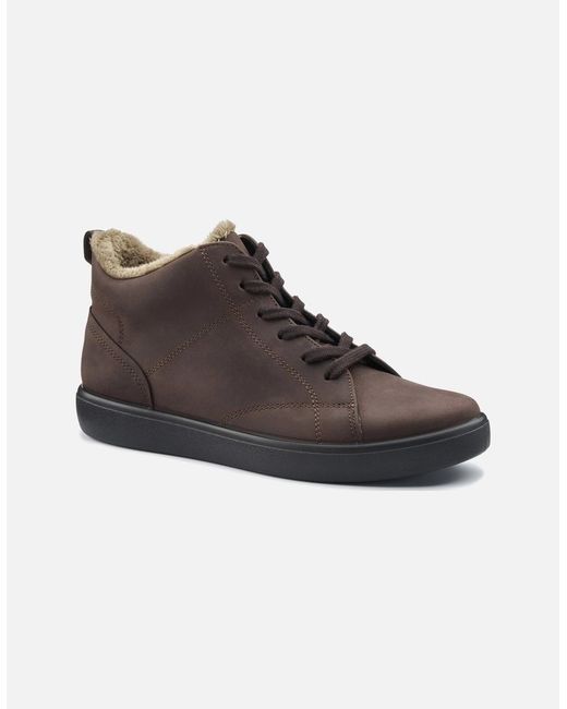 Hotter Brown Rydal Ankle Boots