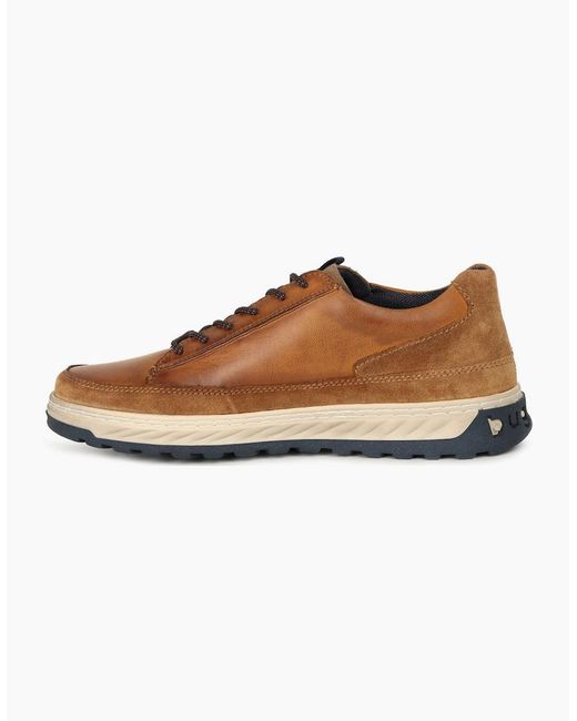 Bugatti Brown Craster Shoes for men
