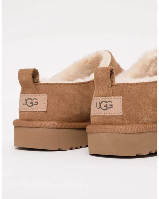 Ugg Brown Classic Micro Boots