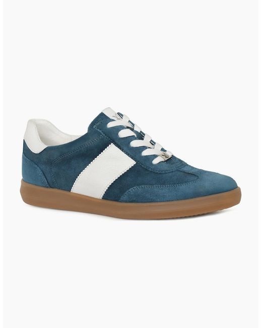Caprice Blue Map Trainers