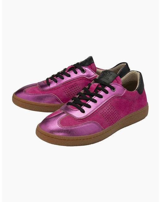 Lotus Purple Frapporta Trainers