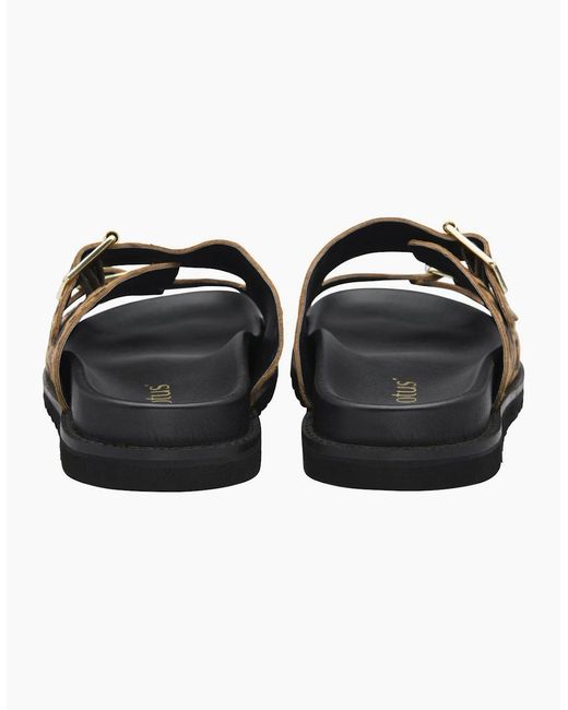 Lotus Brown Conti Sandals