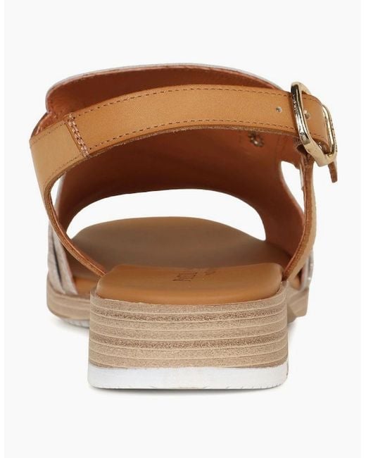 Paula Urban Brown Monte Carlo Sandals