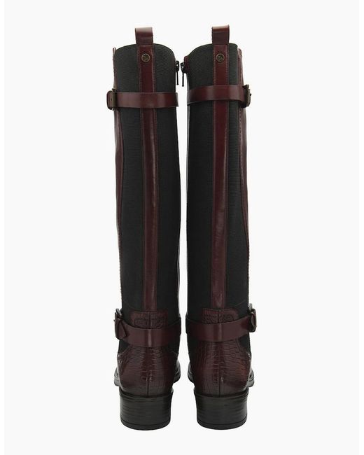 Ravel Brown Eildon Knee High Boots