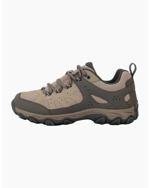 Regatta Brown Ladies Edgepoint Iv Low Walking Shoes