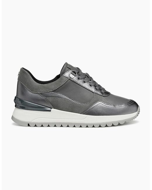 Geox Gray D Desya A Trainers