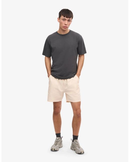 COLORFUL STANDARD Gray Classic Organic T-Shirt for men