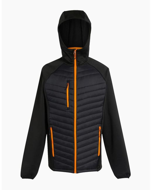 Regatta Blue Navigate Quilted Hybrid Jacket for men