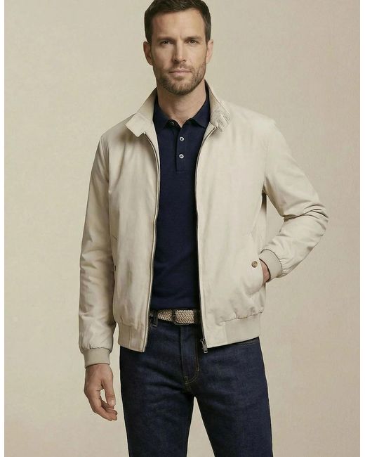 Fynch-Hatton White Stand Collar Harrington Jacket Cement for men