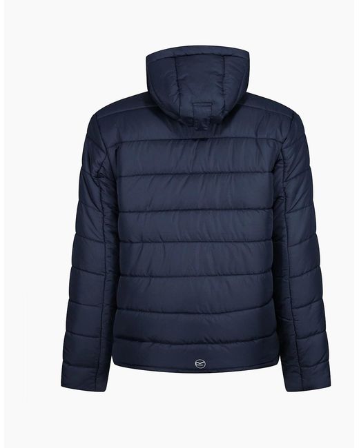 Regatta Blue Professional Thermal Padded Jacket for men