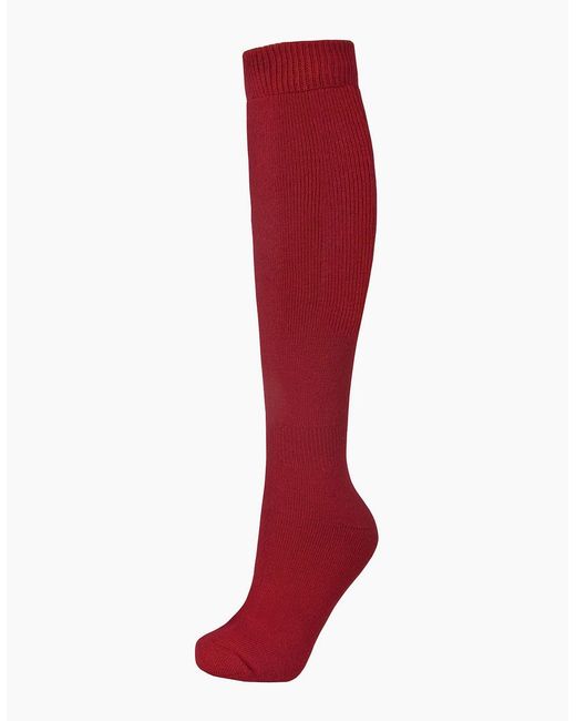 Trespass Red Adults Tech Luxury Merino Wool Blend Ski Tube Socks
