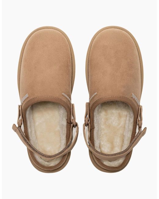 Regatta Brown Ladies Risley Clogs