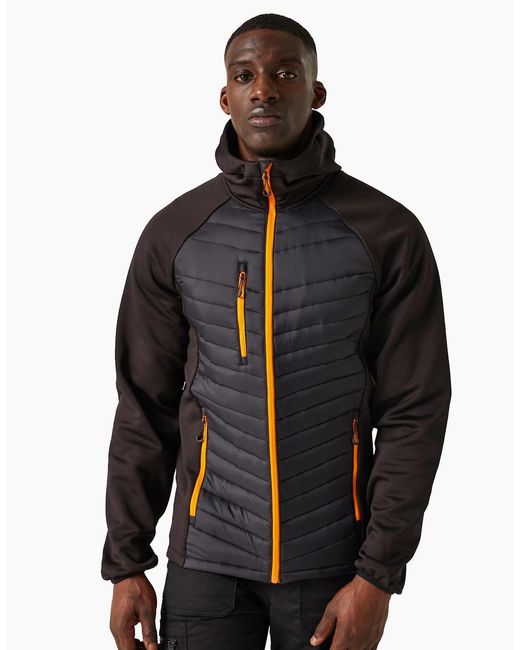 Regatta Blue Navigate Quilted Hybrid Jacket for men