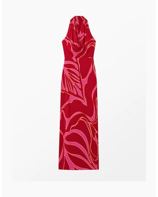 Ro&zo Red Petite Emilia Floral Halter Neck Dress