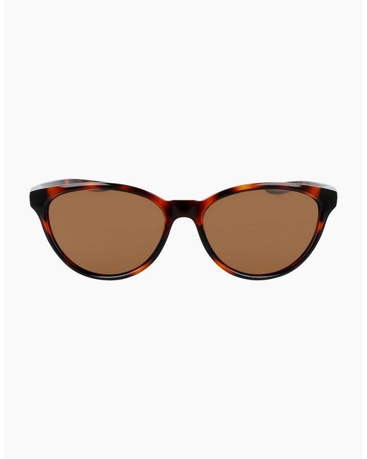 Nike Brown Persona Cat Eye Sunglasses for men