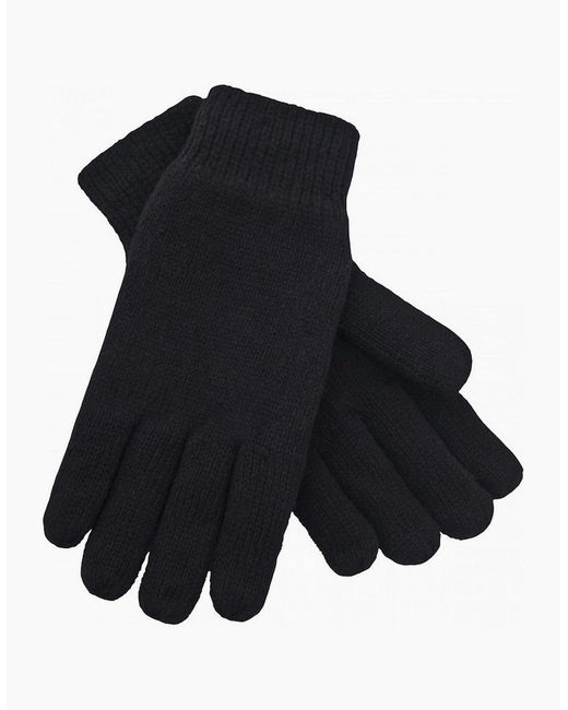 Trespass Blue Bargo Knitted Gloves for men