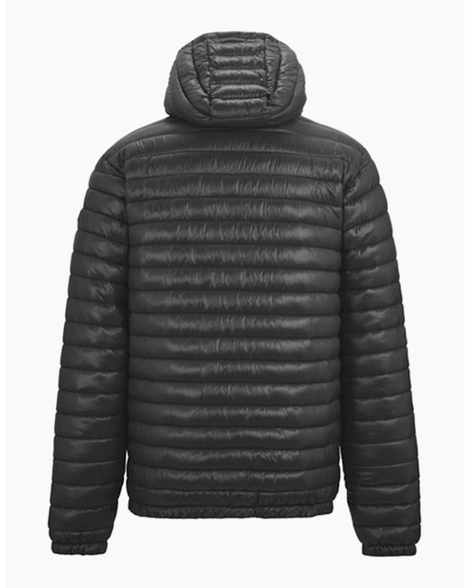 Regatta Gray Hurden Padded Jacket for men
