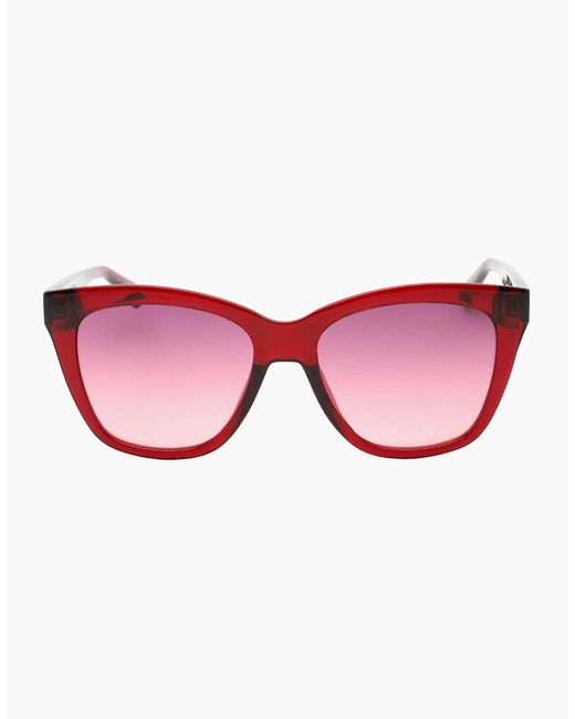 Calvin Klein Pink Cherry Sunglasses