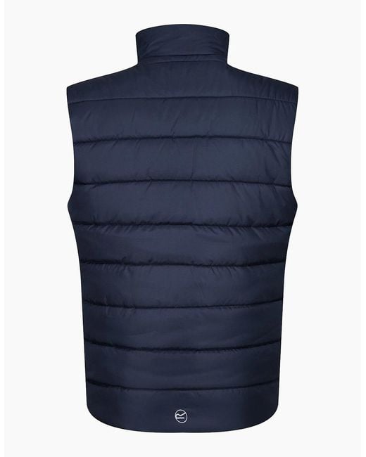 Regatta Blue Professional Thermal Body Warmer for men