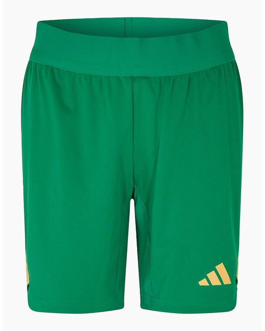 Adidas Green Adult Goalkeeper Shorts for men