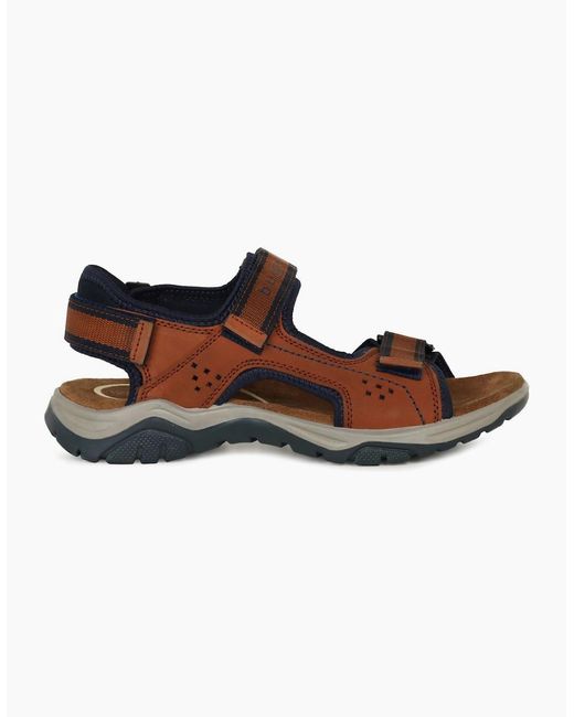 Bugatti Brown Waterside Sandals for men