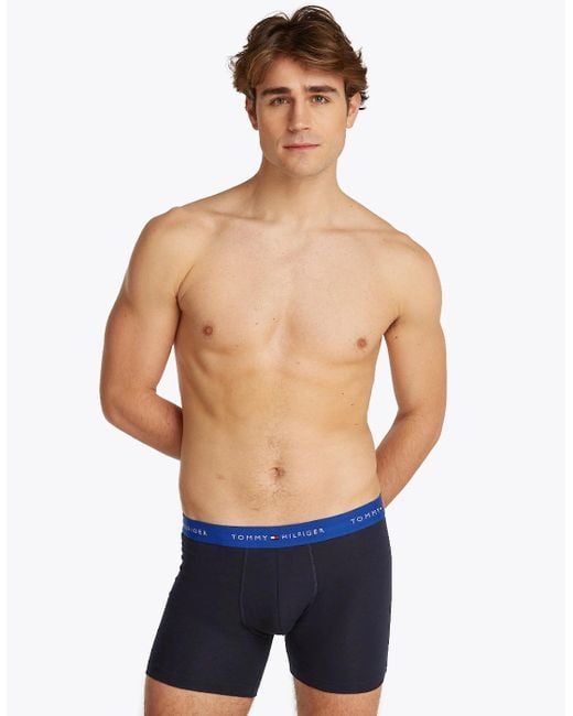 Tommy Hilfiger Blue 3-Pack Signature Cotton Coloured Band Boxer Briefs, /Utility for men