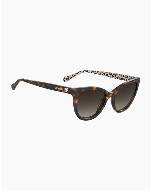 Moschino Brown Moscsun Cat Eye Sung
