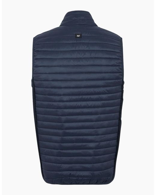 Regatta Blue Andreson Hybrid Padded Jacket for men