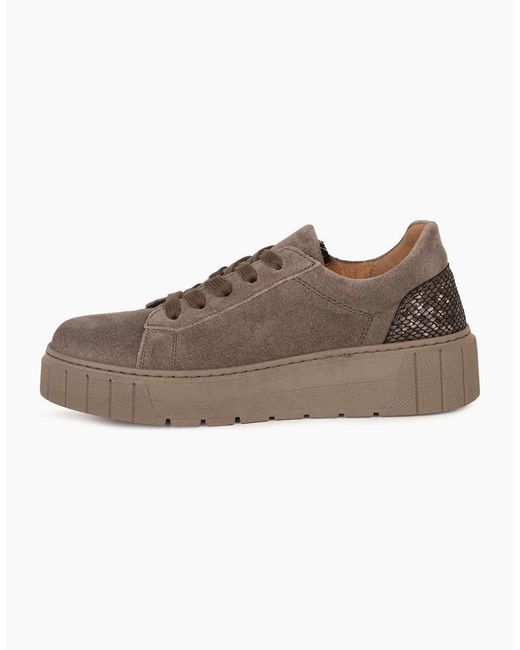 Gabor Brown Ferry Trainers